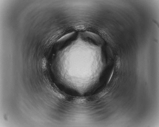 X0000100390081200806201723