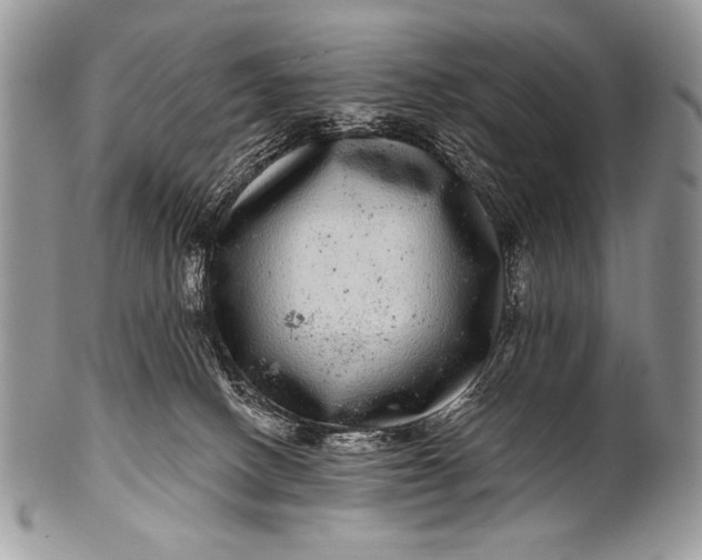 X0000100390082200806201723