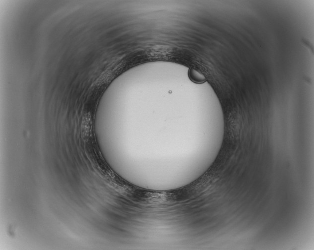 X0000100390083200806201723