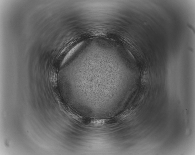 X0000100390084200806201723