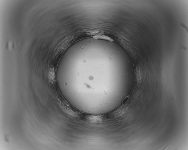 X0000100390085200806201723