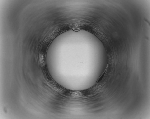 X0000100390087200806201723