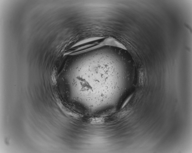 X0000100390088200806201723