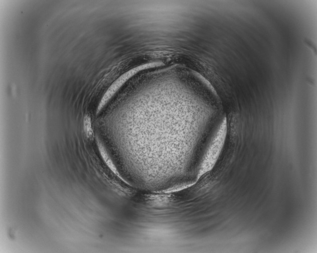 X0000100390089200806201723