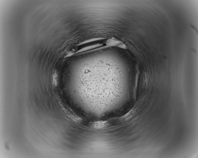 X0000100390090200806201723