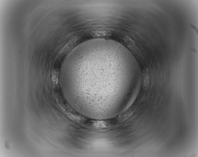 X0000100390091200806201723