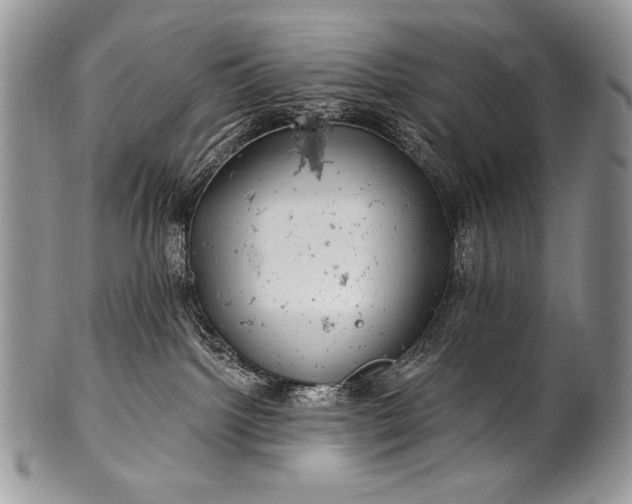 X0000100390092200806201723