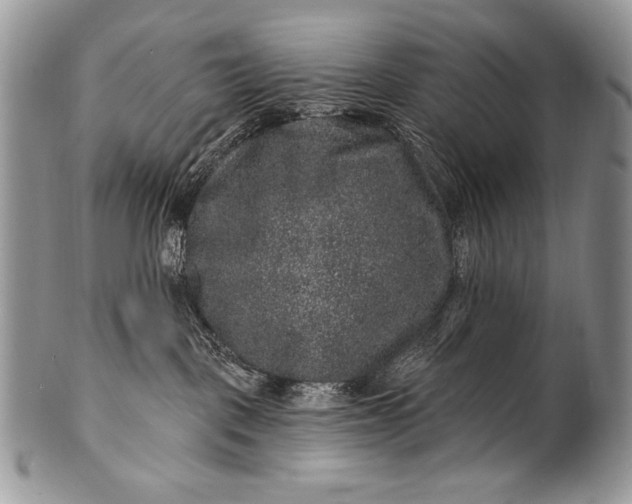 X0000100390093200806201723