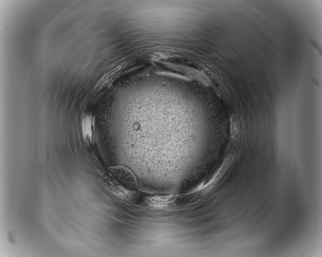 X0000100390094200806201723