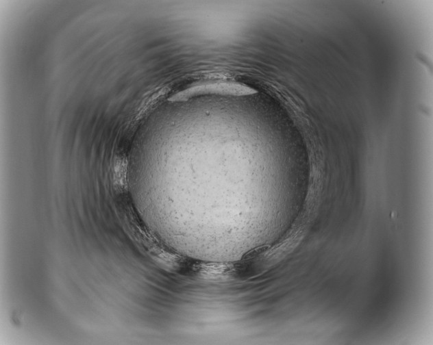 X0000100390096200806201723