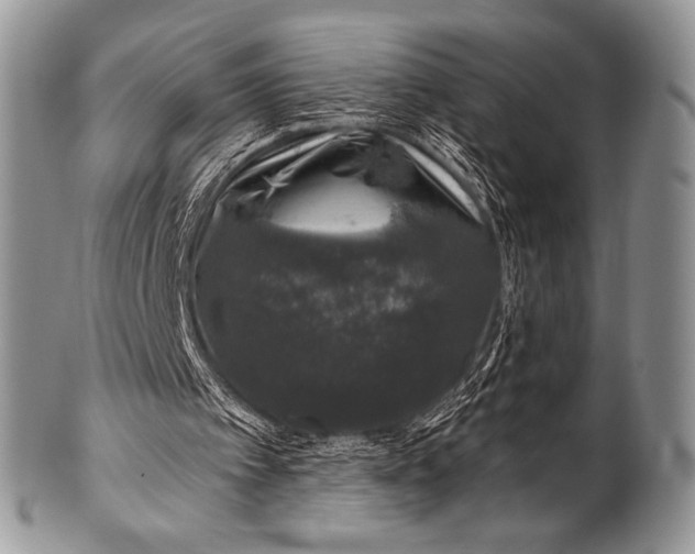 X0000100390097200806201723