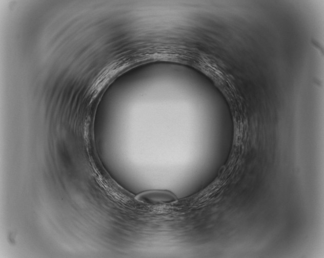 X0000100390098200806201723