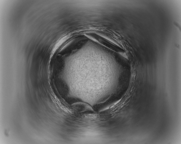 X0000100390102200806201723