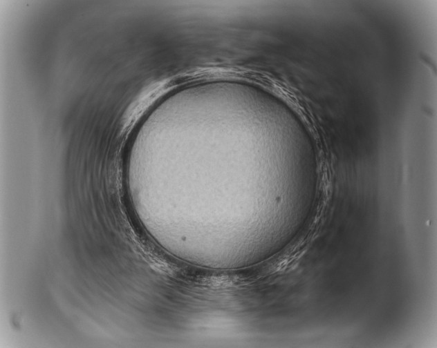 X0000100390103200806201723