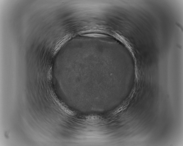 X0000100390105200806201723