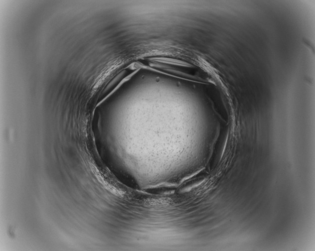 X0000100390106200806201723