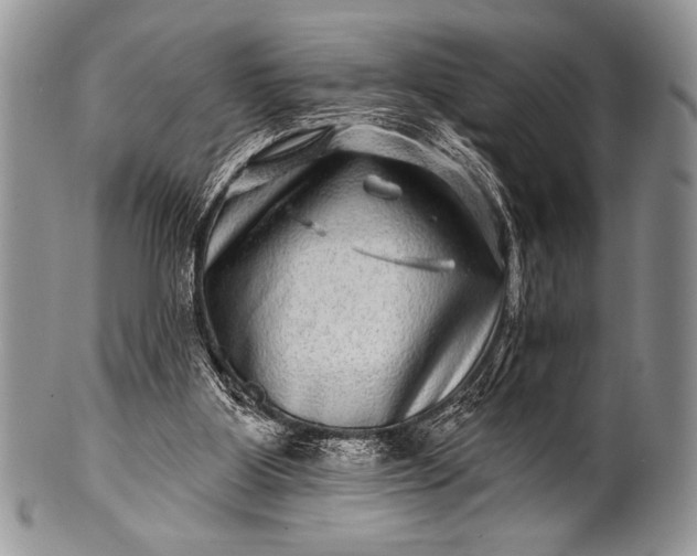 X0000100390107200806201723