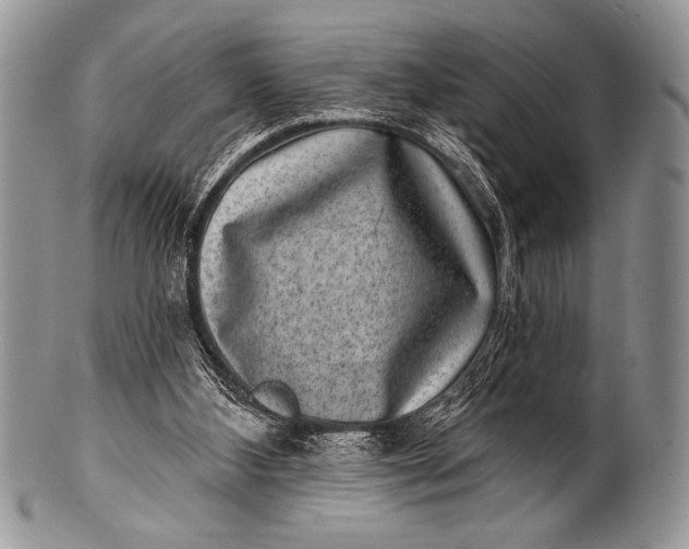 X0000100390108200806201723