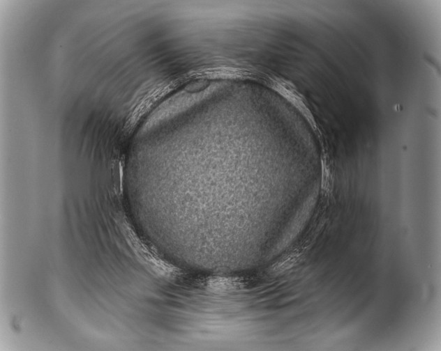 X0000100390109200806201722