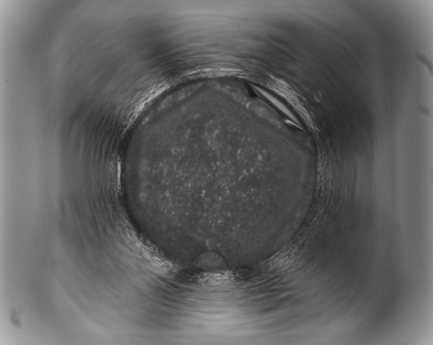 X0000100390110200806201722