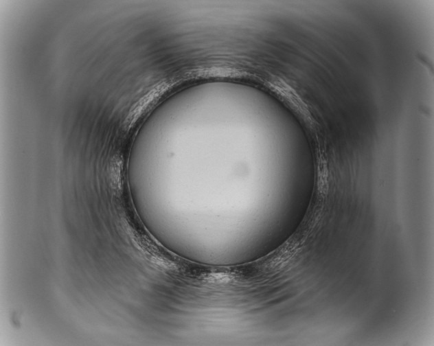 X0000100390111200806201722