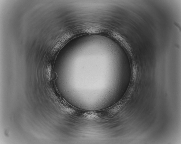 X0000100390113200806201722