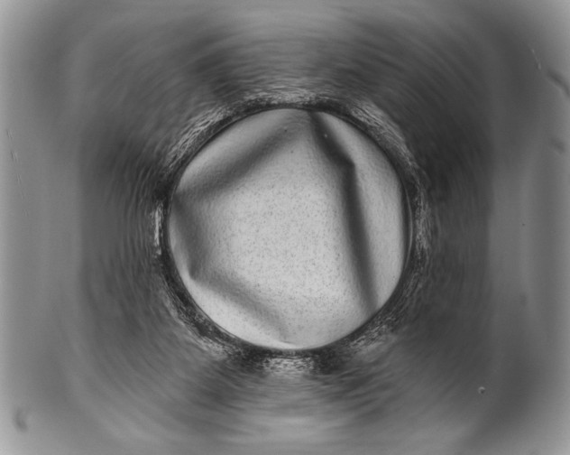 X0000100390115200806201722