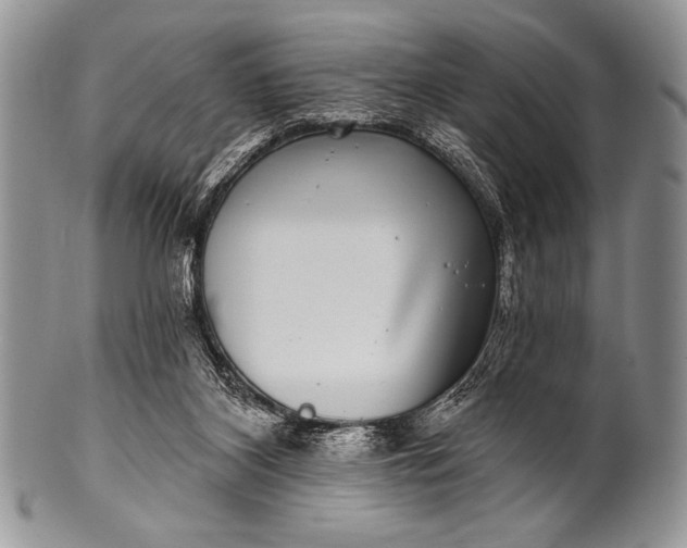 X0000100390116200806201722