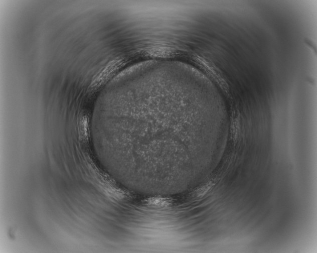 X0000100390117200806201722