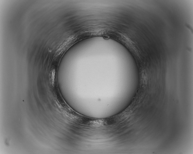 X0000100390118200806201722