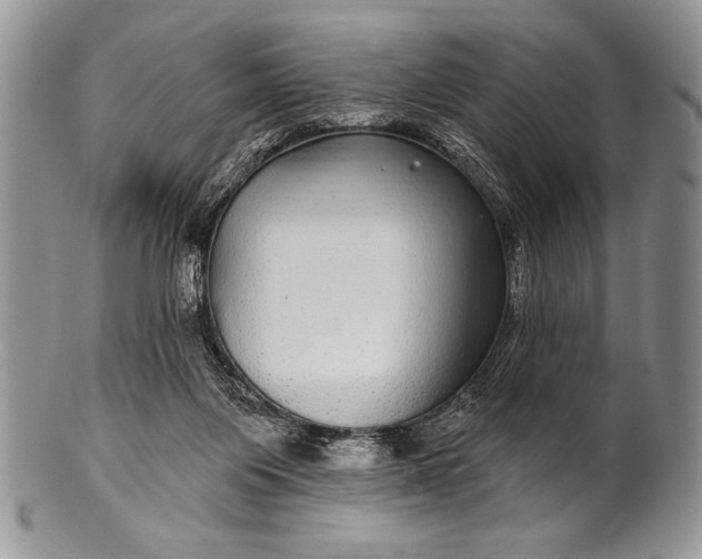 X0000100390119200806201722