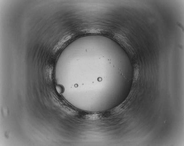 X0000100390120200806201722