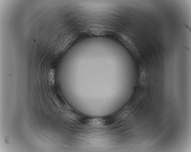 X0000100390121200806201722