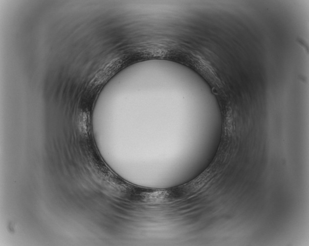 X0000100390122200806201722