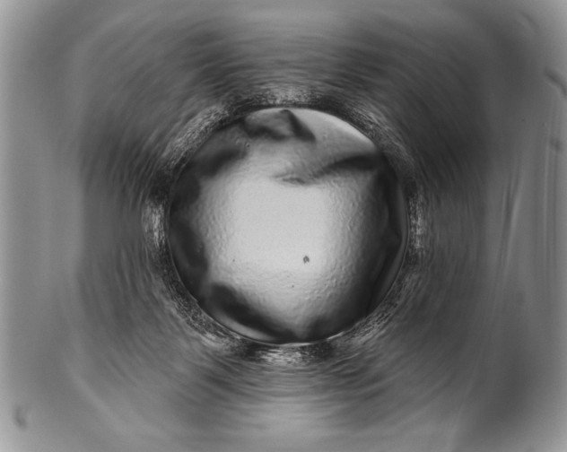 X0000100390123200806201722