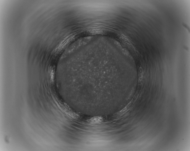 X0000100390124200806201722