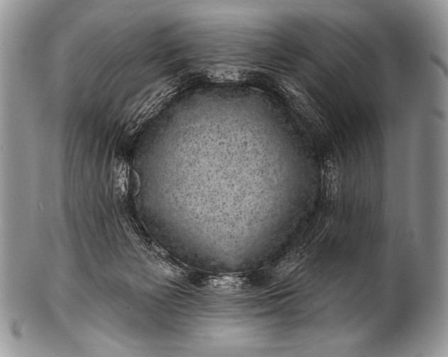 X0000100390125200806201722