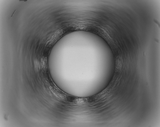 X0000100390126200806201722