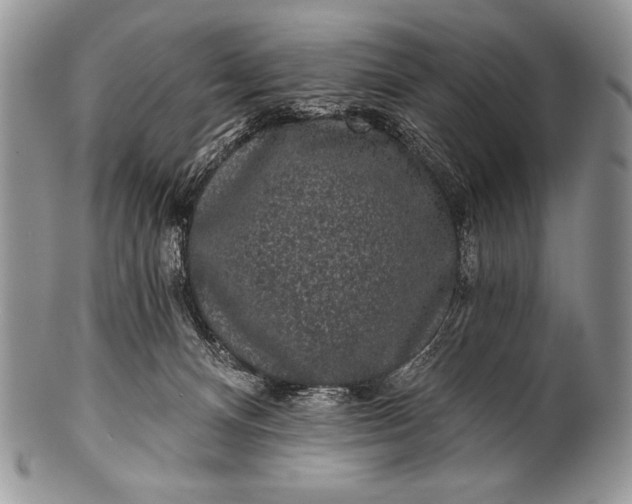 X0000100390128200806201722