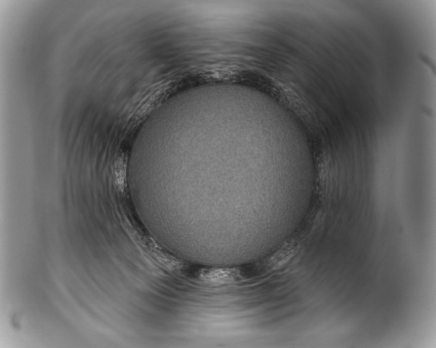 X0000100390129200806201722