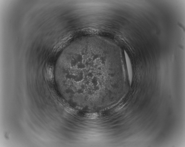 X0000100390131200806201722