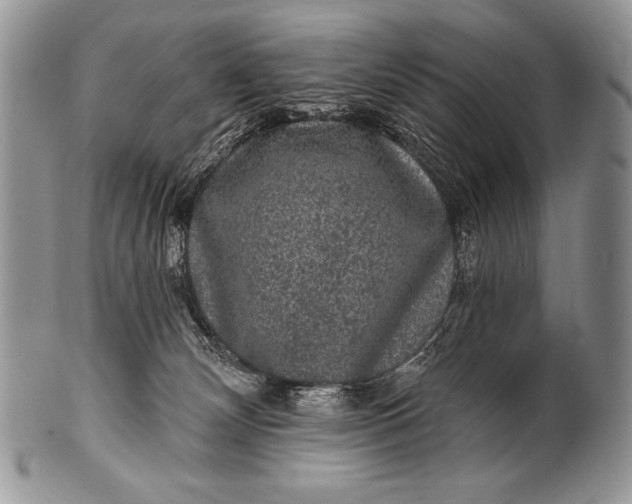 X0000100390132200806201722