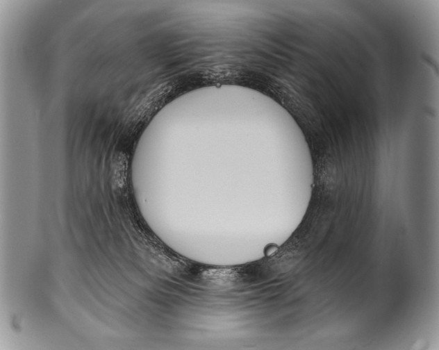 X0000100390133200806201722