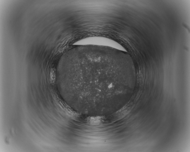 X0000100390134200806201722