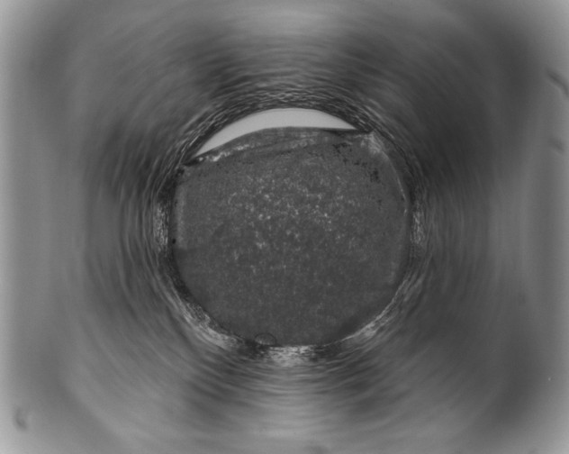 X0000100390136200806201722