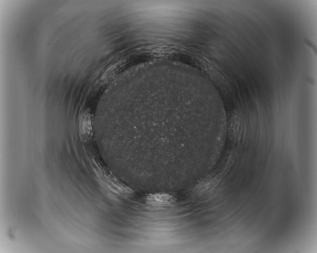 X0000100390137200806201722