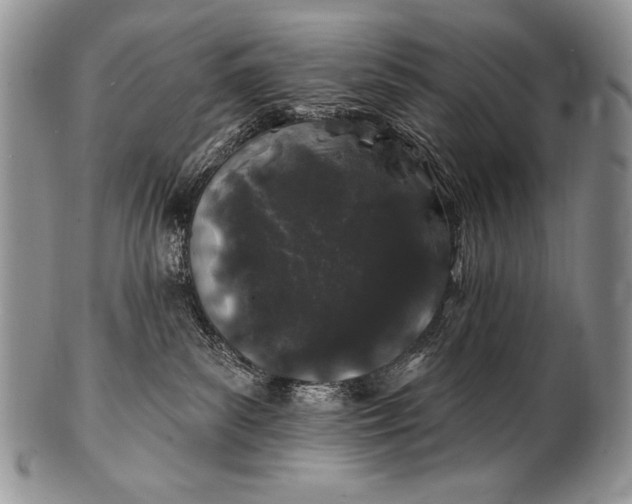 X0000100390139200806201722