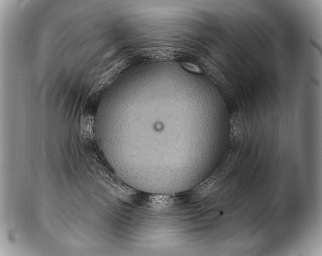 X0000100390141200806201722