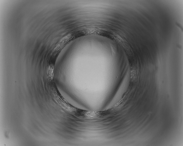 X0000100390142200806201722