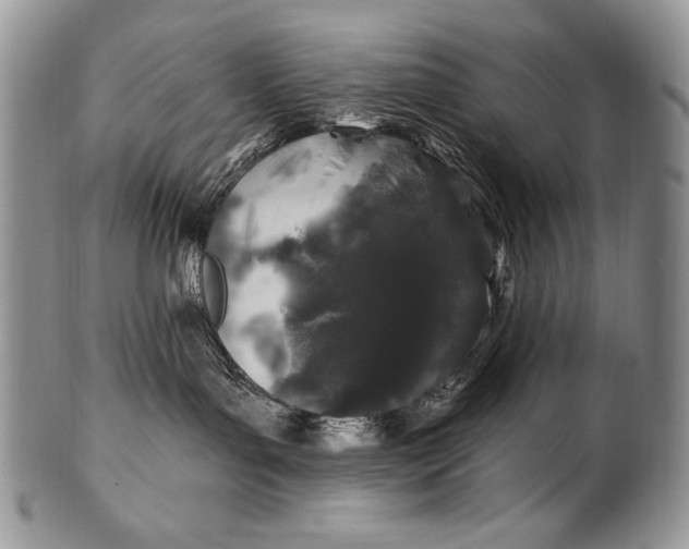 X0000100390143200806201722